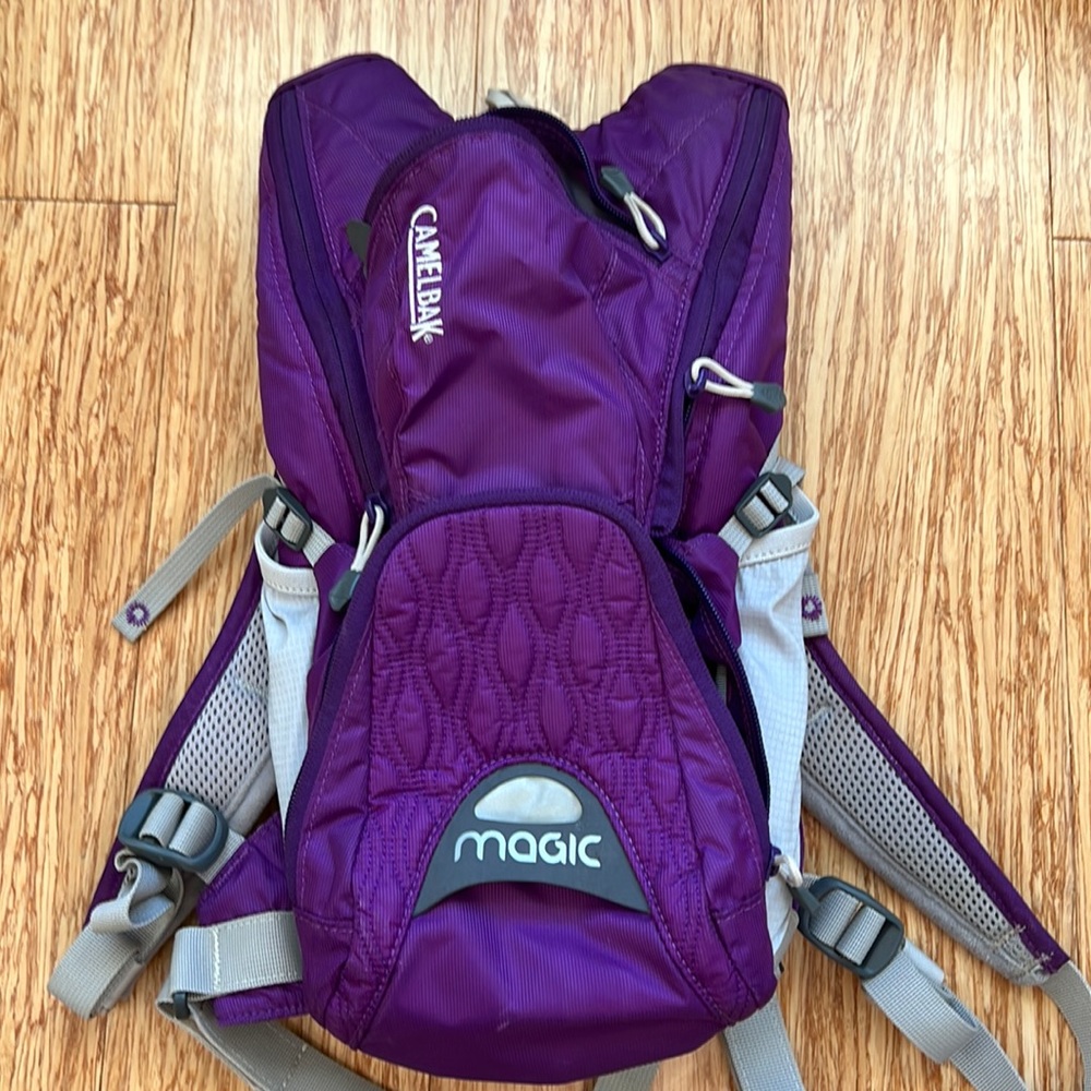 CamelBak hydration backpack